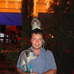 ����, ��������, 41 ���