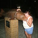  ,  -  2  2013    2013