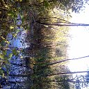 ���� �������, ����� - ��������� 12 ������� 2014 � ������ ��� ��� ������ ���