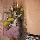 ���� Dima, �����-���������, 22 ���� - ��������� 20 ������� 2014 � ������ ������ ��������