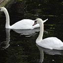 ���� ��������, ������ - ��������� 16 ������ 2013 � ������ ���� ����������