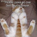 ���� �����, ������, 53 ���� - ��������� 7 �������� 2013 � ������ ������ ��������