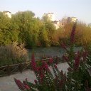 ���� Orhan, �������, 66 ��� - ��������� 12 ����� 2014 � ������ ���� ����������