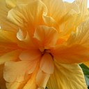 �������� ƨ���� �� ������� ���� ������ ���