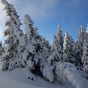 ���� ������ *****, ������ - ��������� 23 ������ 2013 � ������ ��������