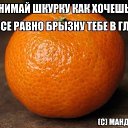 ���� ������, ������, 35 ��� - ��������� 17 �������� 2013 � ������ ������ ��������