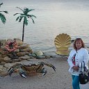  2013    