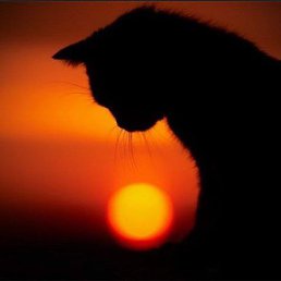 ���� �, ����� - ��������� 7 ������ 2013