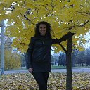 ���� �������, �������, 41 ��� - ��������� 11 ������� 2013