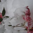 ���� ����, ������, 59 ��� - ��������� 16 ������� 2014 � ������ ������ ��������