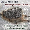 ���� �����, ������������, 44 ���� - ��������� 1 ����� 2014 � ������ ���� ����������