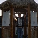 ���� ����, ������, 42 ���� - ��������� 7 ������� 2013 � ������ ���� ����������