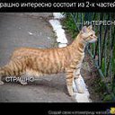 ���� ����, ������ - ��������� 5 ������� 2013 � ������ ���� ����������