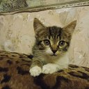 ���� ���������, �������-�����, 50 ��� - ��������� 26 ������� 2013 � ������ ����߻