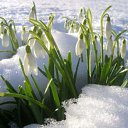 ���� �����, ��������, 61 ��� - ��������� 10 ����� 2014 � ������ ���� ����������