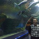 ���� ��������, ������, 60 ��� - ��������� 3 ������� 2013 � ������ ���� ����������