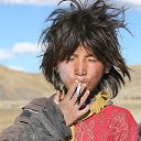 ���� ��������, ������������, 54 ���� - ��������� 23 ������� 2013