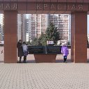  , , 56  -  20  2014   , 