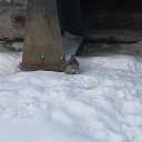 ���� ����, �����������, 56 ��� - ��������� 13 ������ 2014 � ������ ������ ��������