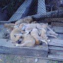 ���� ������, �����-���������, 62 ���� - ��������� 23 �������� 2013