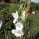���� ��������, ������-��������, 70 ��� - ��������� 10 ������� 2013 � ������ ���� �����-��� �������...�