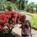 ���� ���, ����������� - ��������� 5 ������� 2013 � ������ ��������-2012�