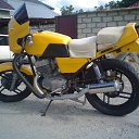 ���� �����, ������, 43 ���� - ��������� 2 �������� 2013 � ������ ���� ���� ������