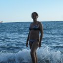 ������ ���� ���� 2013 �� ������� ���� ����������