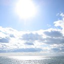���� ������, �����, 55 ��� - ��������� 16 �������� 2013 � ������ ���� ����������
