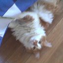 ���� ����, ������, 76 ��� - ��������� 20 ������ 2014 � ������ ���� ����������