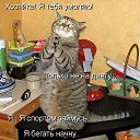 ���� ���, ������, 23 ���� - ��������� 30 ������ 2013 � ������ ���� ����������