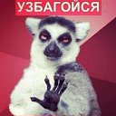 ���� �����, ��������, 37 ��� - ��������� 24 ������� 2013 � ������ ���� ����������