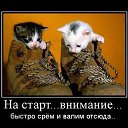 ���� �����, ����� - ��������� 17 ������� 2013