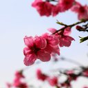 ���� ������, �����-���������, 61 ��� - ��������� 31 ������� 2013 � ������ ������� ������ 2013�