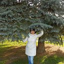 ���� ���������, ������, 52 ���� - ��������� 7 ������� 2013 � ������ ���� ����������