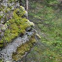 ���� Svann, ���������, 71 ��� - ��������� 18 �������� 2013 � ������ �������� �����