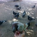 ���� �������, ������, 59 ��� - ��������� 2 �������� 2013 � ������ ��������� �����