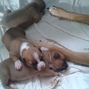 ���� Gena, ��������, 41 ��� - ��������� 27 �������� 2013 � ������ ���� ����������
