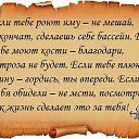���� ��������, ������� - ��������� 5 ������� 2013