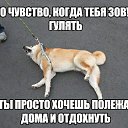 ���� ���, ������ - ��������� 18 ������� 2013 � ������ ���������