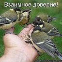 ���� Enohcka, ������������ - ��������� 25 ������ 2013 � ������ �������