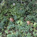 ���� ��������, �����-���������, 61 ��� - ��������� 28 ������ 2014