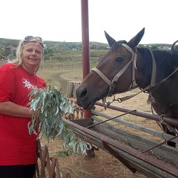 ���� �������, ������ - ��������� 11 ������� 2014