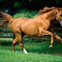 ���� Vlad, ������ - ��������� 10 ������ 2013 � ������ ���� ����������