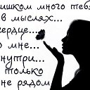 ���� ������, ��������, 40 ��� - ��������� 8 ����� 2014 � ������ ������ ��������