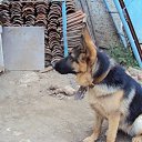 ���� ���������, ������ - ��������� 25 ������� 2014 � ������ �misi�