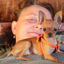 ���� �������, ����-���, 61 ��� - ��������� 3 ������� 2013