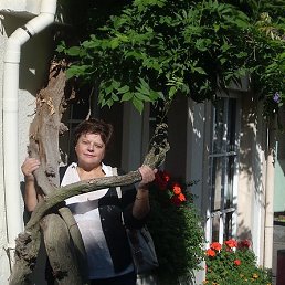 �������, ������, 70 ���