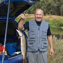 ���� ����, �����������, 69 ��� - ��������� 3 ������� 2014 � ������ ���� ����������