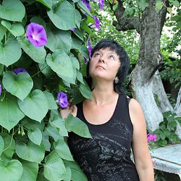 ���� �������, �������, 65 ��� - ��������� 20 ������� 2014